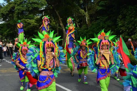 ¿Qué es la marcha carnaval y sus propósitos?